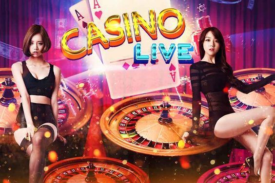 Holy Moly Casino پاکستان ریئل منی گیمز